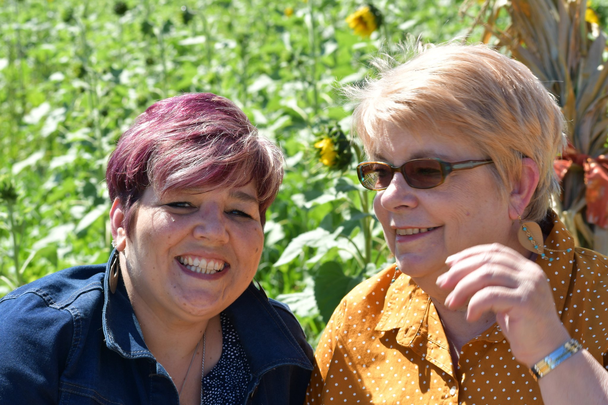 2019 09 15 Sunflowers_0015.jpg